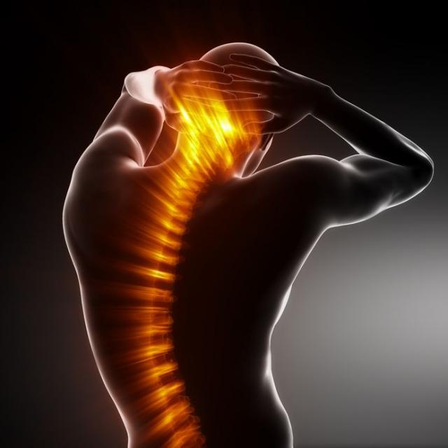 6 Things To Remember When Choosing Physical Therapists